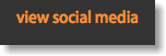 &nbsp;view social media 